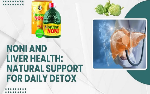 Noni and Liver Health: Natural Support for Daily Detox